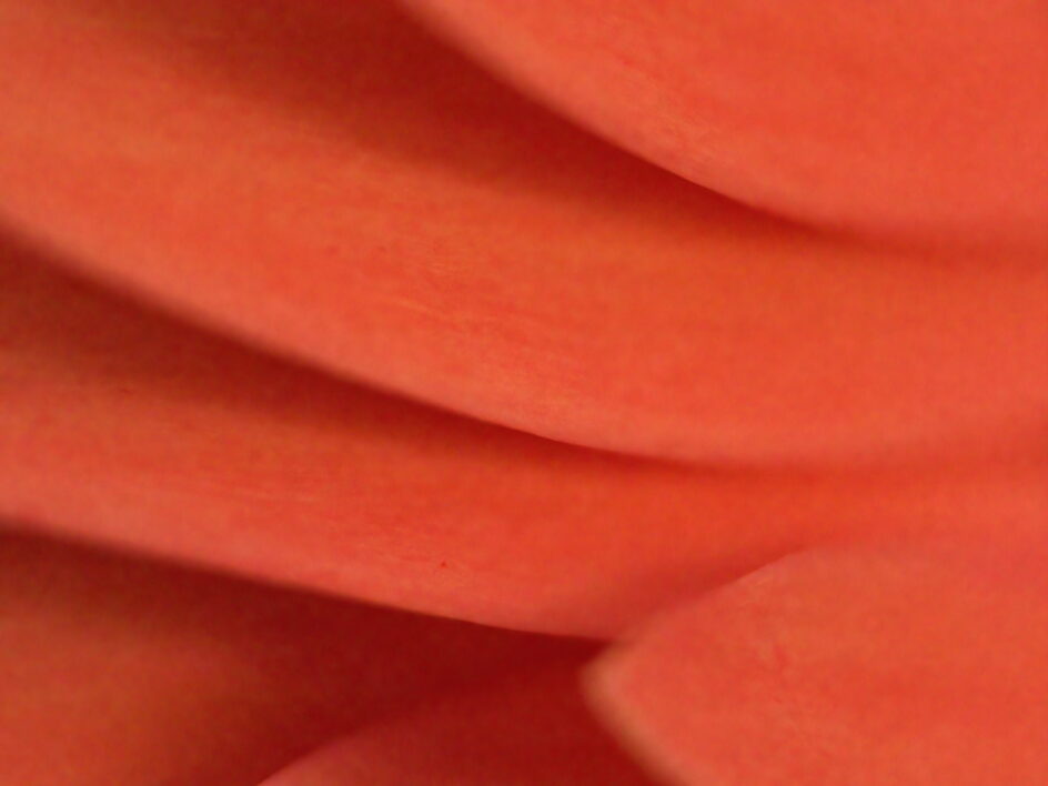 Red Background Texture