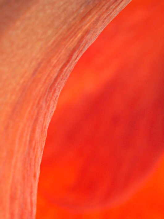 Red Texture Background