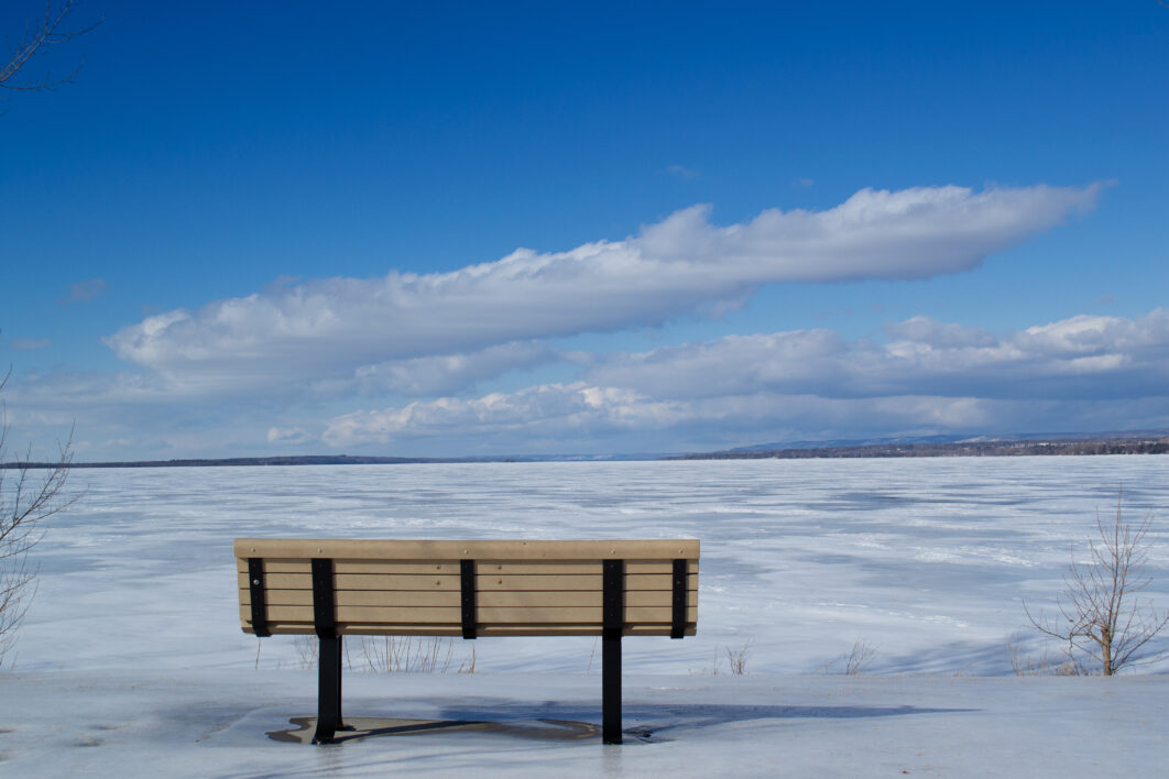 Winter Park Bench