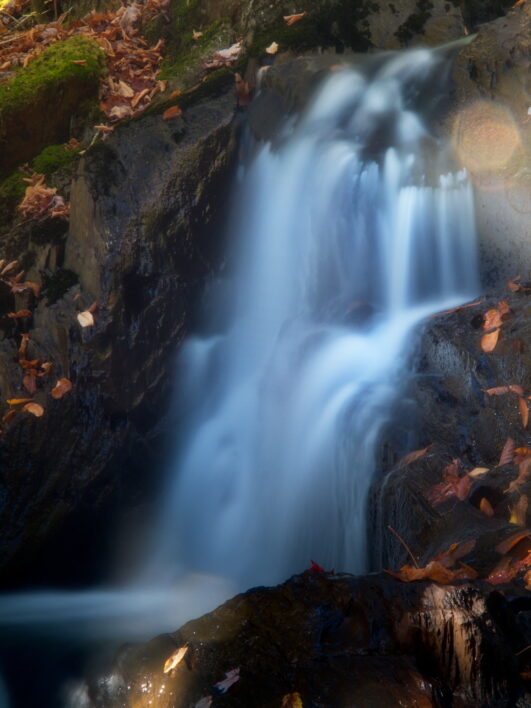 Waterfall Forest Stream