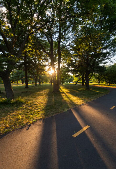 Sun Trees Park