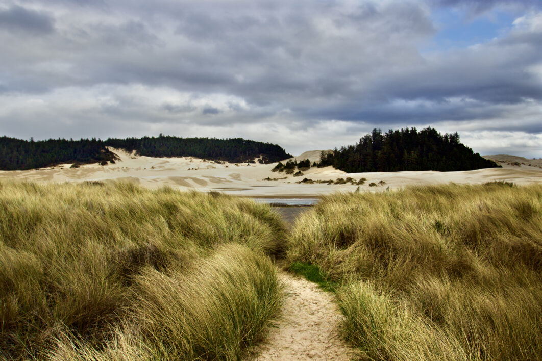 Grassy Landscape Coast