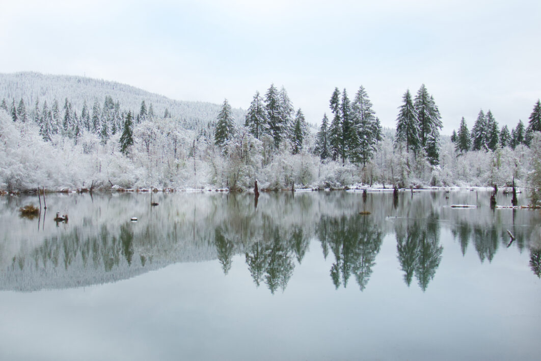 Winter Pond Reflection