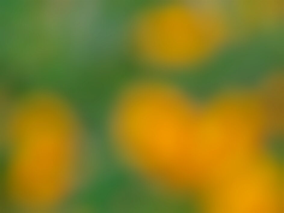Bokeh Abstract Background