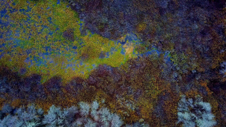 Abstract Aerial Land