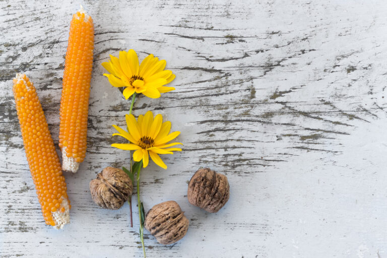 Rustic Corn Flowers