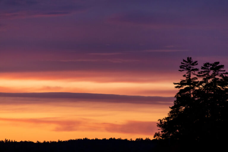 Sunset Clouds Trees