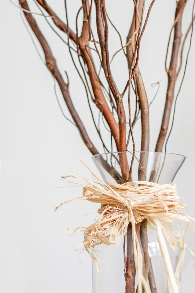 Decorative Vase Branches