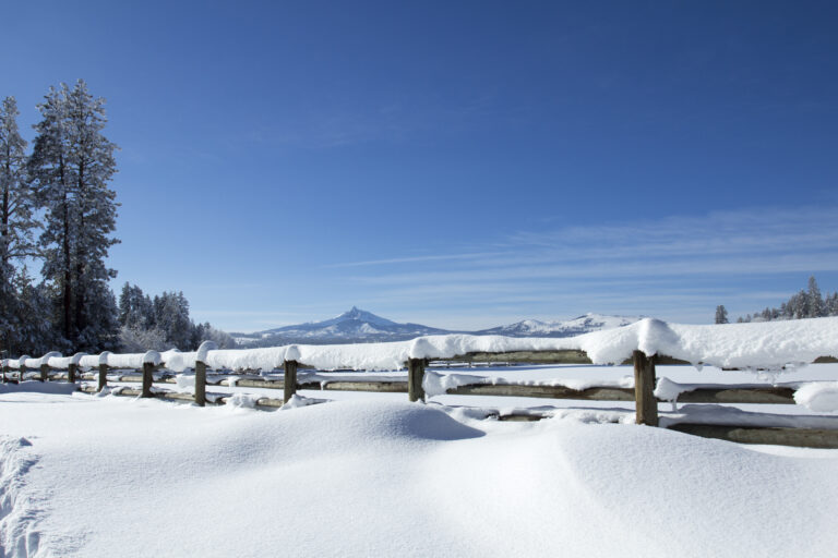Snow Winter