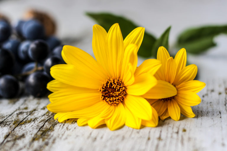 Flowers on Rustic Table