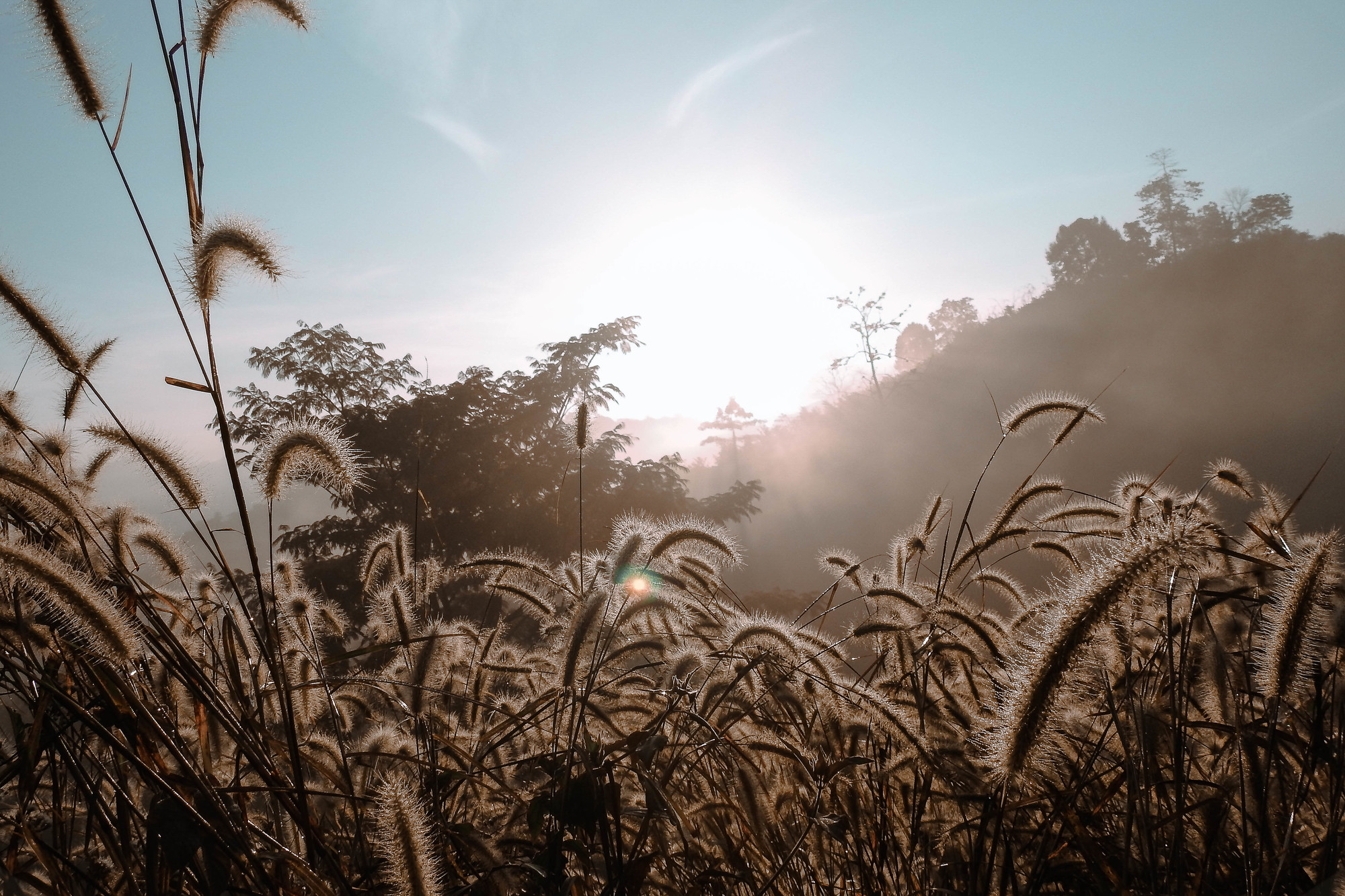 sunrise