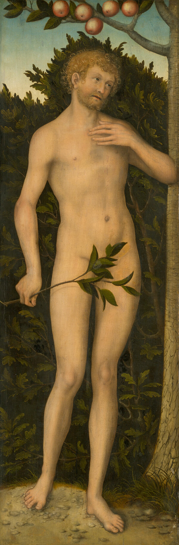Adam
