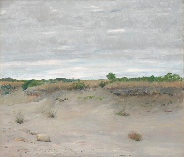 Wind-Swept Sands