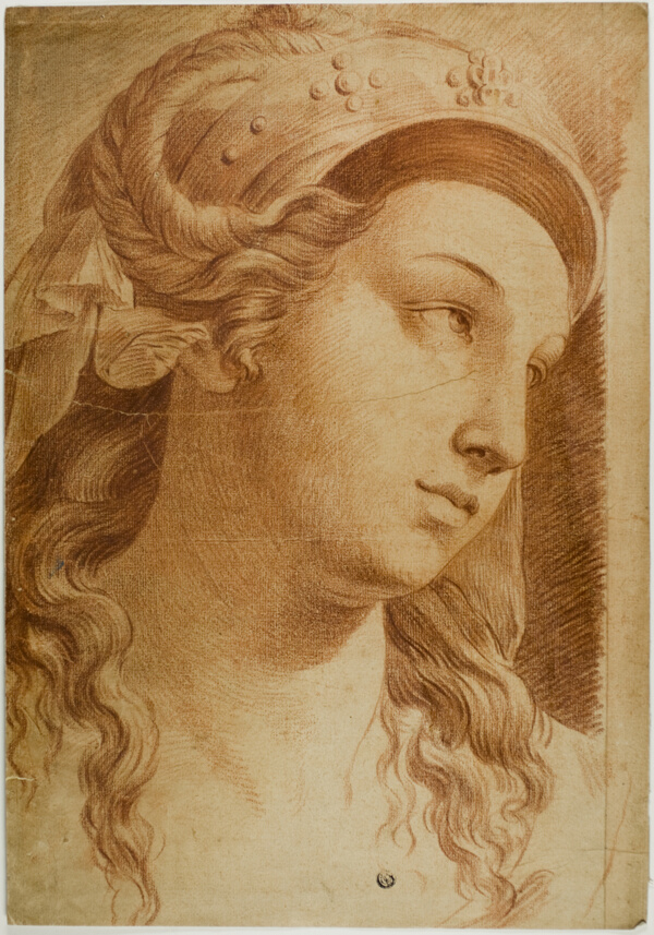 Head of Comity