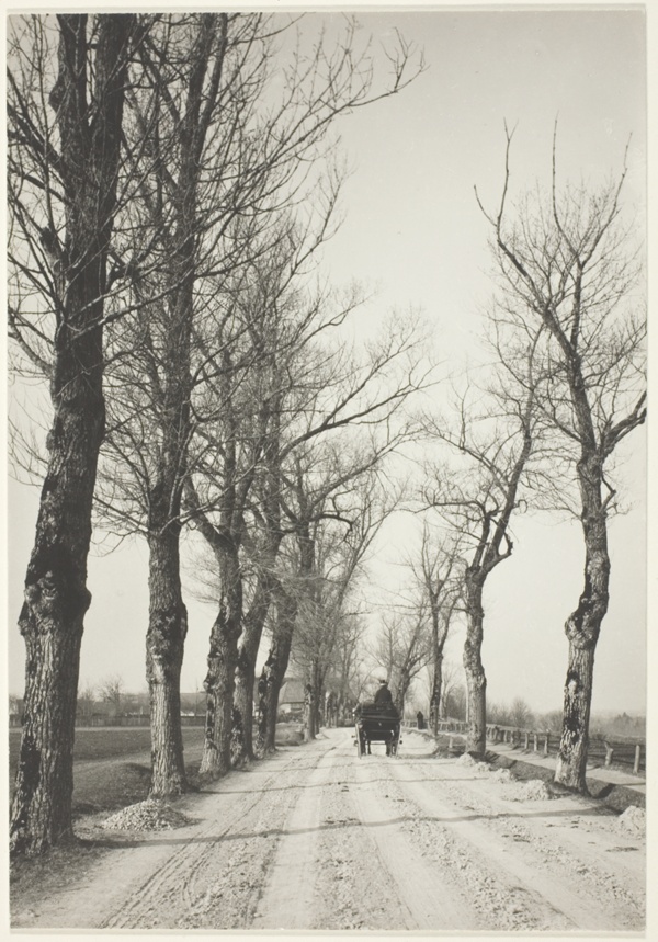 November Days