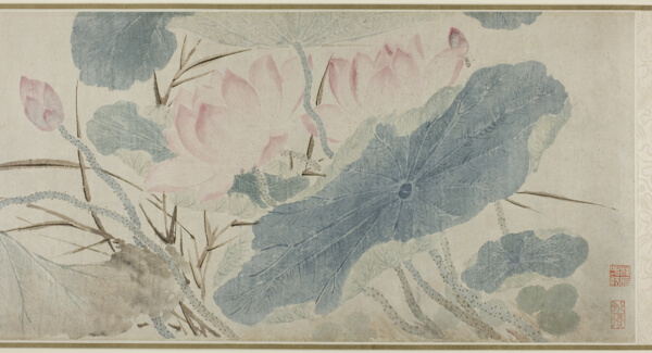 Flowering Lotus