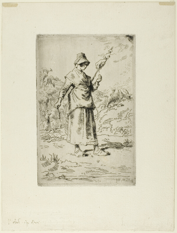 The Spinner