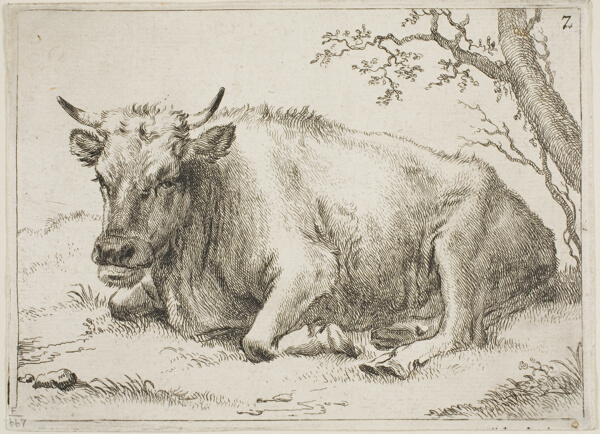 Cow Lying Beside a Tree, plate 7 from Eight Bulls and Cows