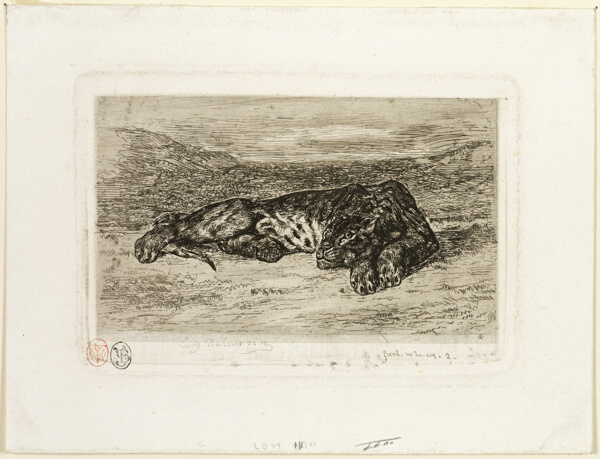 Tiger Resting in the Desert