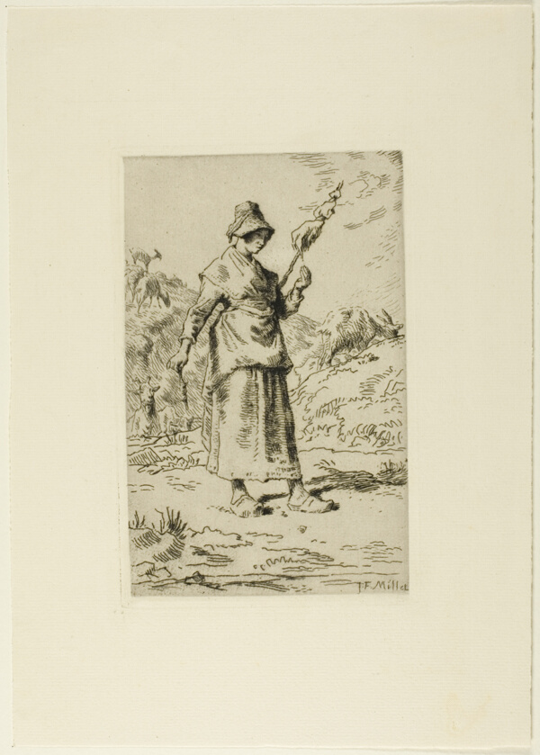 The Spinner