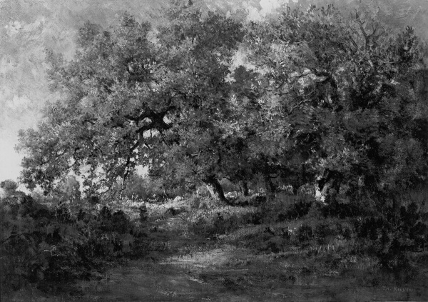 Landscape