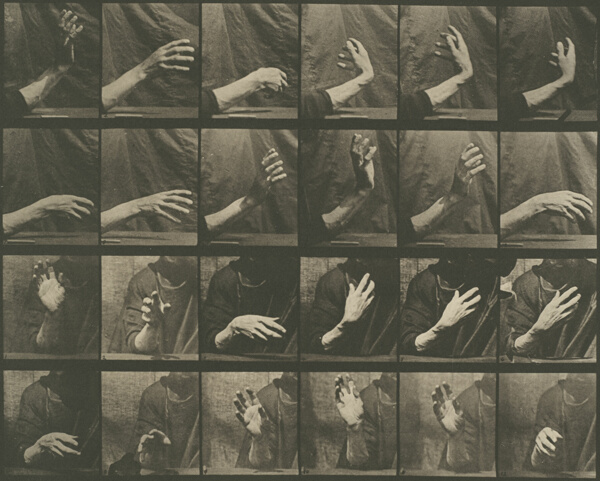 Animal Locomotion, Plate 535