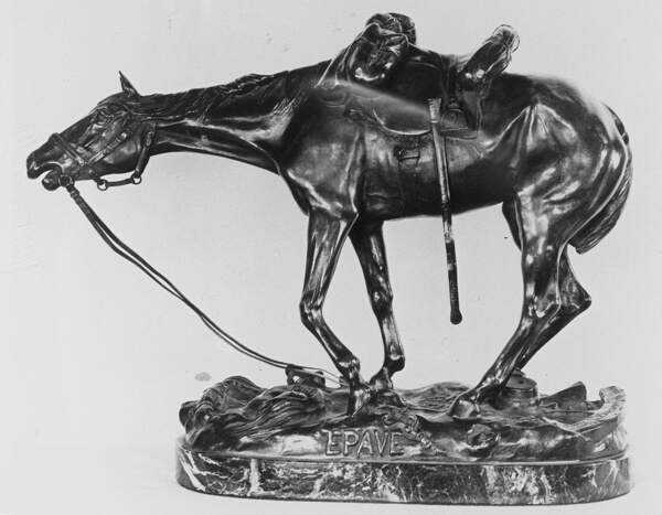 Stray Horse