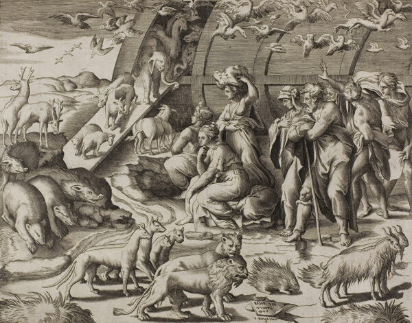 Descent from the Ark