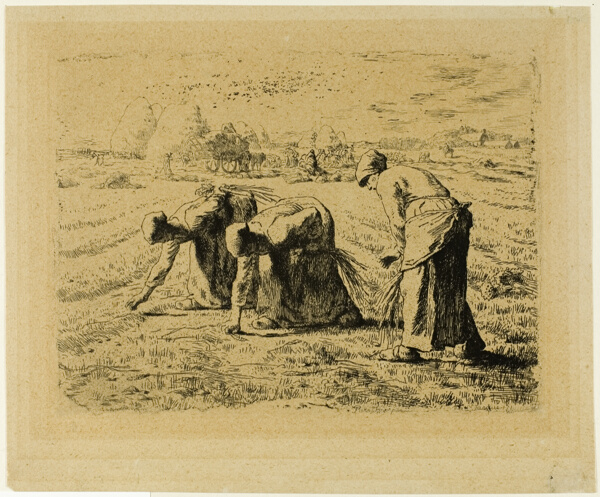 The Gleaners
