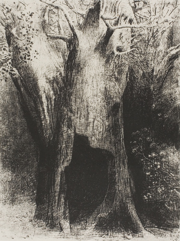 I Plunged into Solitude. I Dwelt in the Tree behind Me, plate 9 of 24
