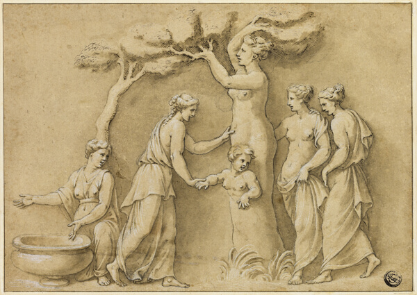 Birth of Adonis