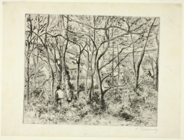 Woodlands at the Hermitage