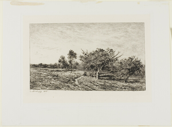 Apple Trees at Auvers