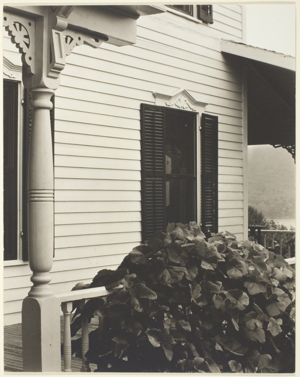 House and Grape Leaves