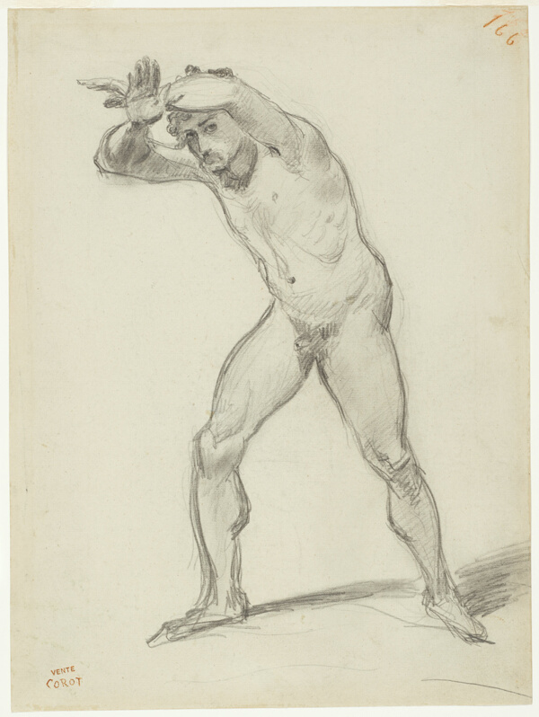 Standing Male Nude