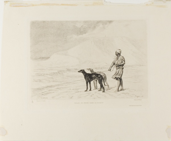 Relay of Dogs in the Desert