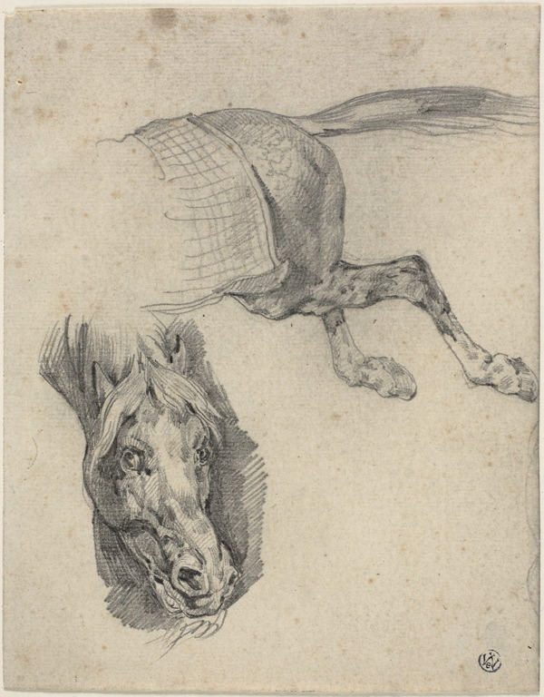 Head and Hindquarters of a Racing Horse