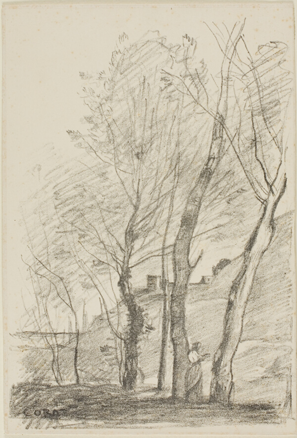Reading Beneath the Trees