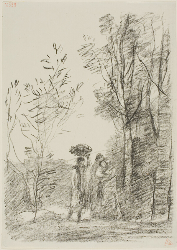 Meeting in the Woods