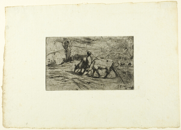 The Two Cows