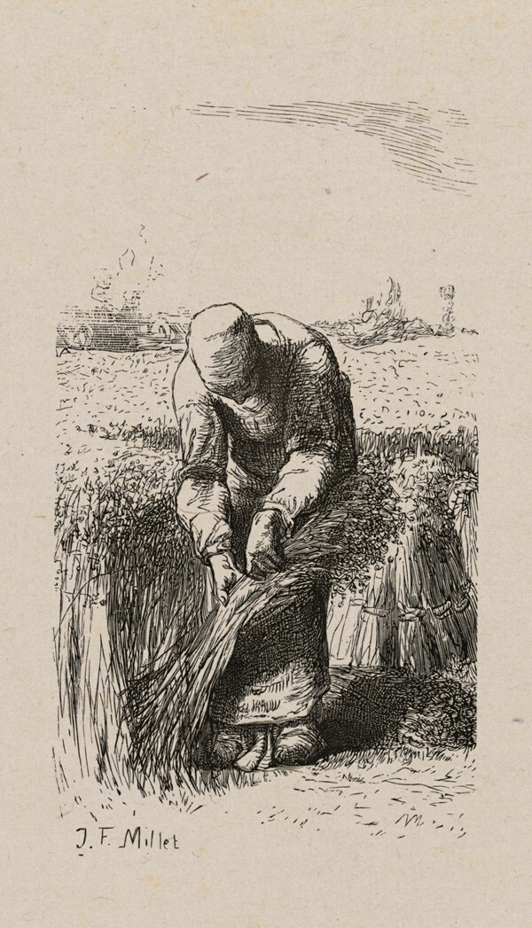 Woman Pulling Flax