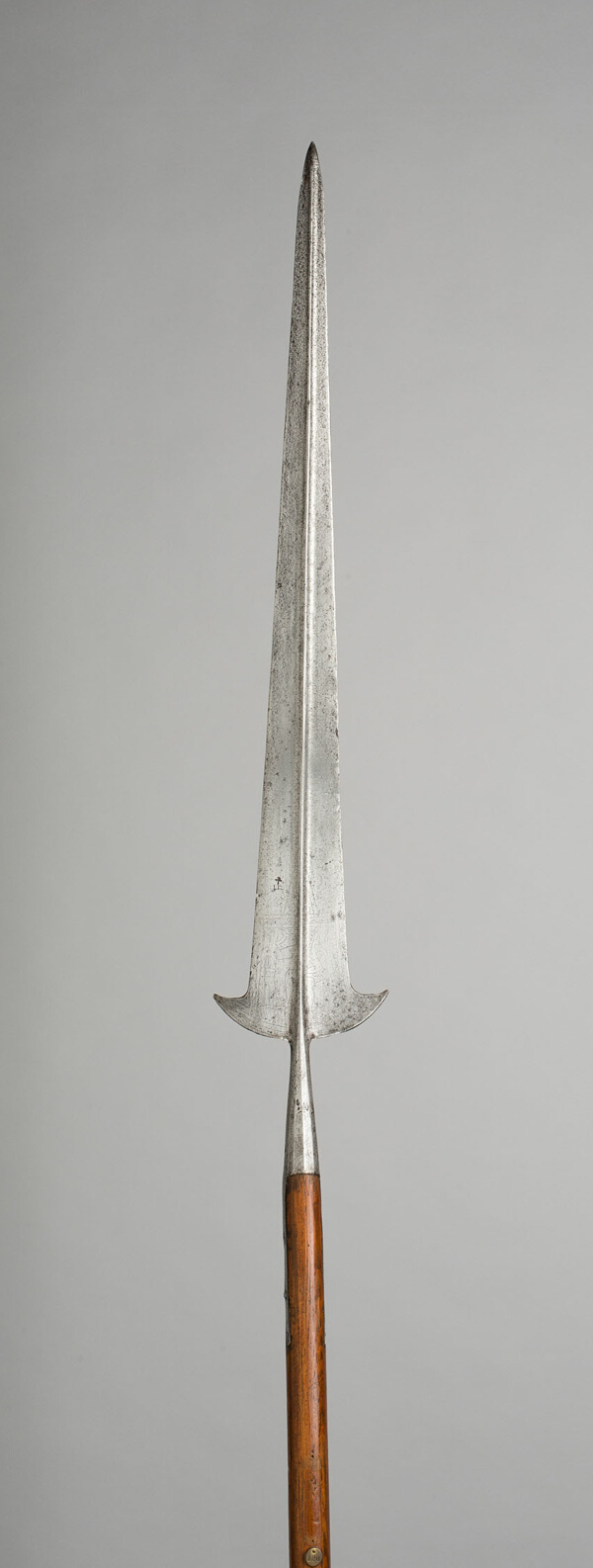 Partisan