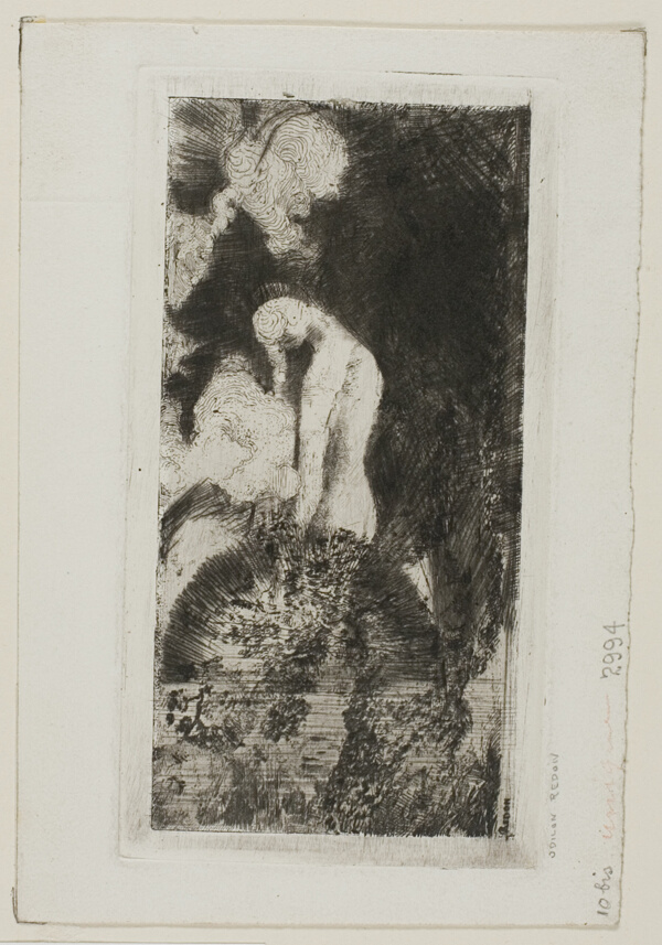Bather