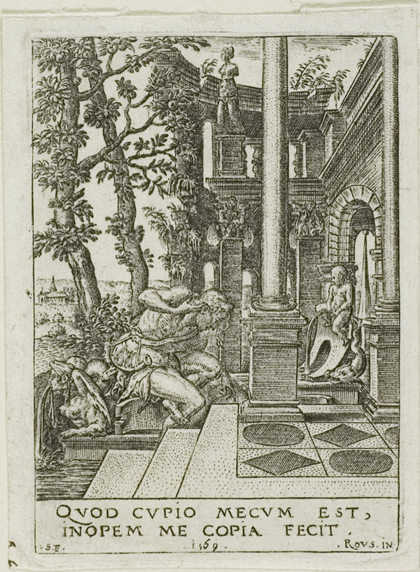 Narcissus