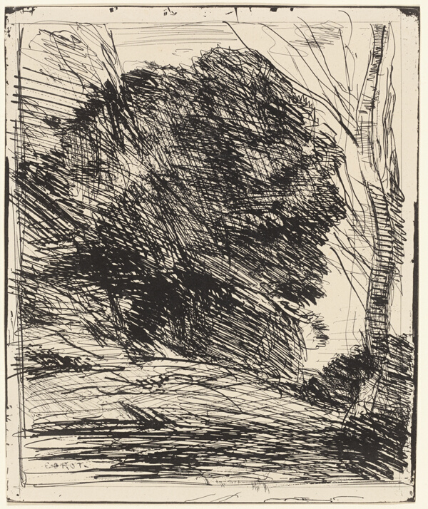 Trees on a Mountainside