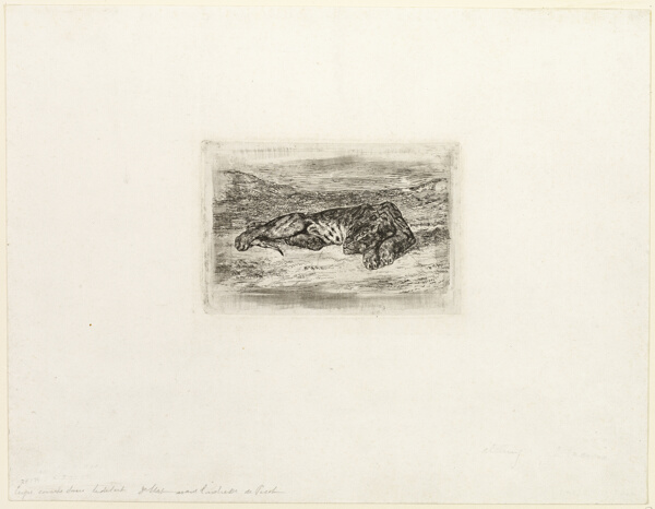 Tiger Resting in the Desert