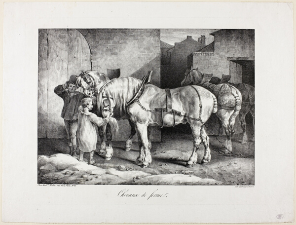 Farm Horses