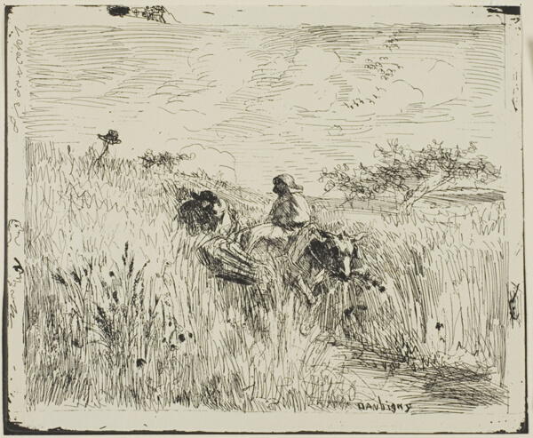 Path Through the Wheatfield