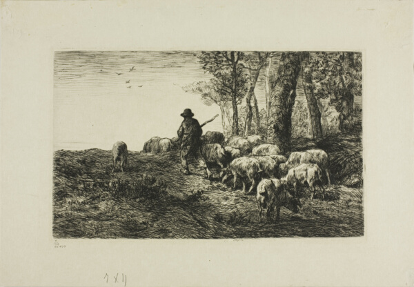 Man with Herd of Pigs