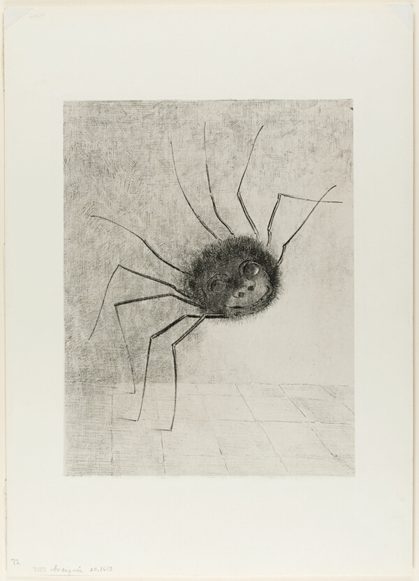 Spider